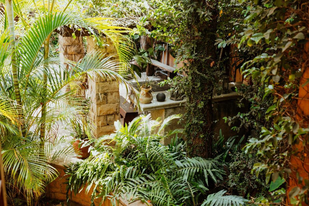 Terra Casa Guesthouse Rustenburg Ngoại thất bức ảnh