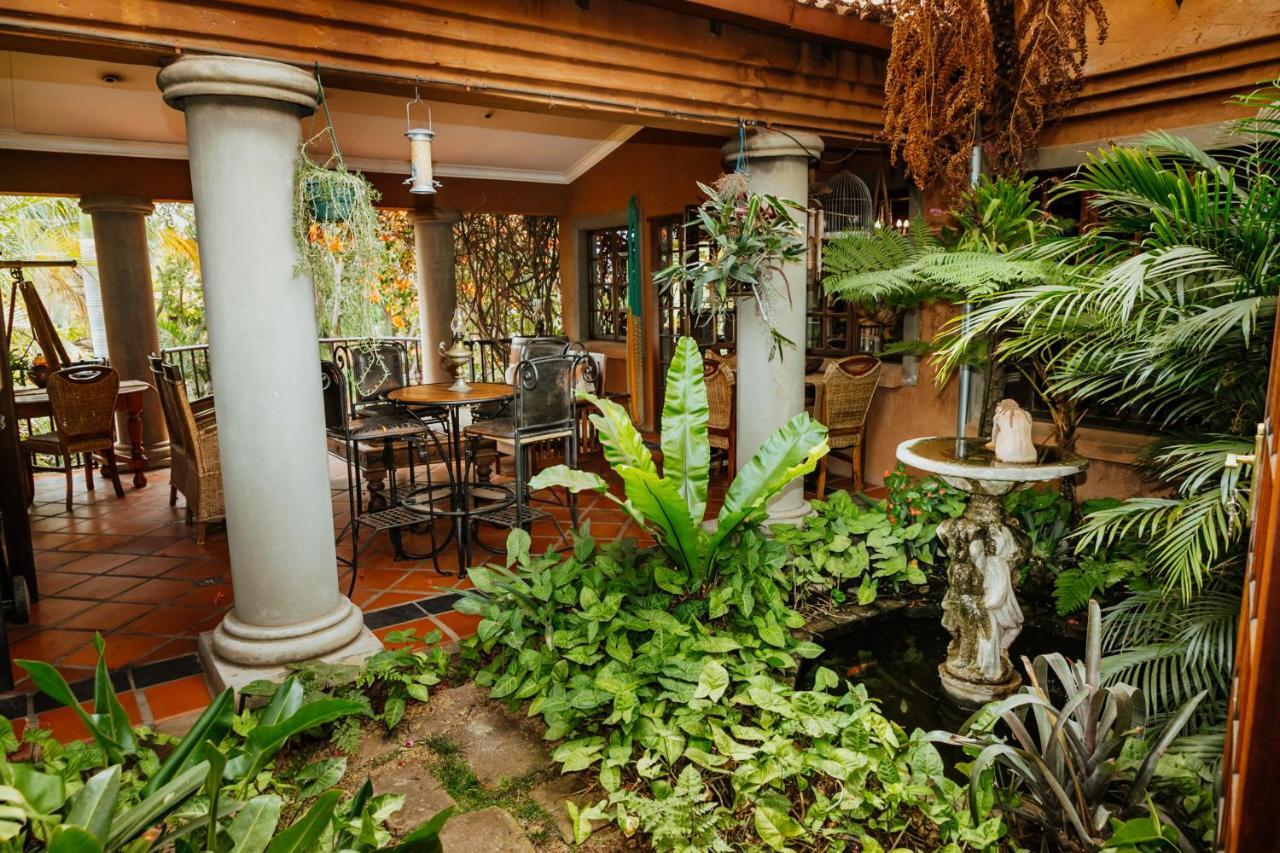 Terra Casa Guesthouse Rustenburg Ngoại thất bức ảnh